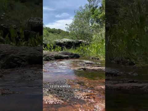 ¡Campo de 30,7 Hectáreas en Venta en Las Cañas!