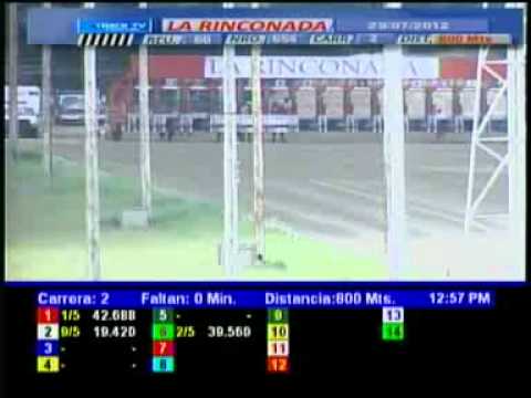 2DA CARRERA DOM 29 JULIO LA RINCONADA AUDIOHIPISMO