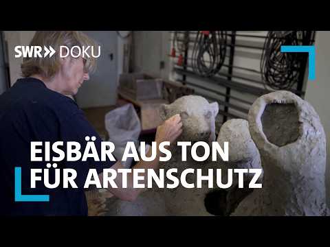 Video Thumbnail: Der Eisbär und die Künstlerin – ein Artenschutzprojekt im Karlsruher Zoo | SWR Doku