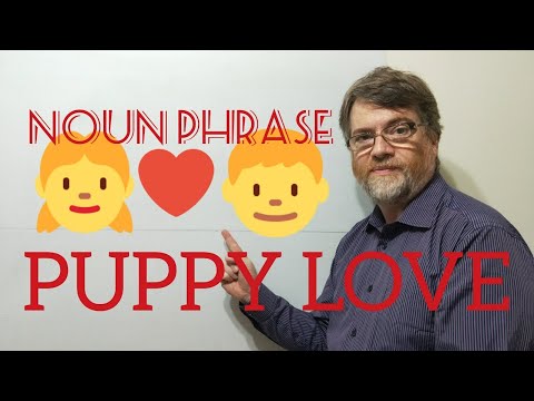 English Tutor Nick P Noun Phrase (196) Puppy Love