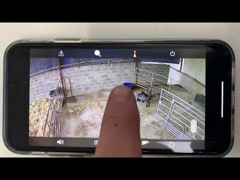 CALVING CAMERAS - Image 2