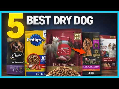 ✅ Top 5 Best Dry Dog Foods for Optimal Health and Nutrition in 2025