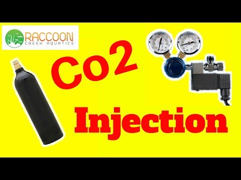 Pros and Cons of Co2 Injection for a Planted Fish Tank
