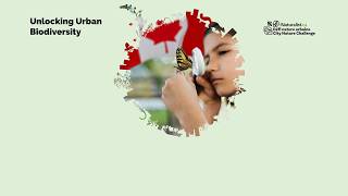 Unlocking Urban Biodiversity: A Guide to Higher Quality iNaturalist Observations