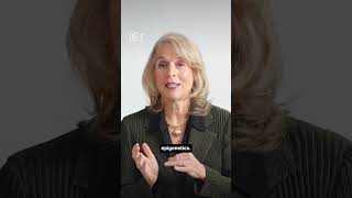How experiences affect your DNA | Rachel Yehuda
