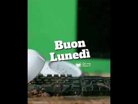 Buon Lunedì video divertente