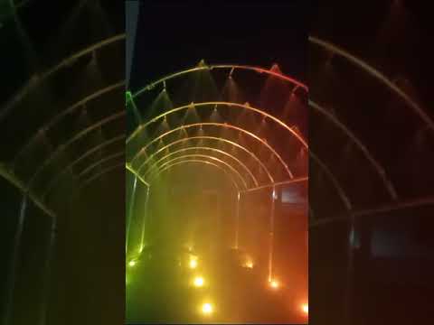 Meraki Polyethylene Swimming Pool Lifebuoy Rings, Round