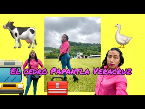 Unas pequeñas vacaciones en la comunidad del cedro Papantla Veracruz 