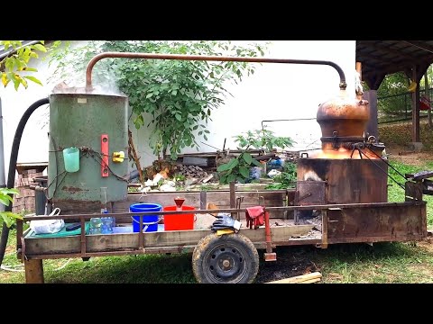 Kako se pravi rakija Jabukovača