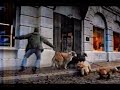 McDonald S UK Lady And The Tramp 2 Scamp S Adventure Commercial