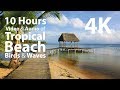 4K UHD 10 hours - Tropical Beach with Gentle Waves and Birds - calming, meditation, nature