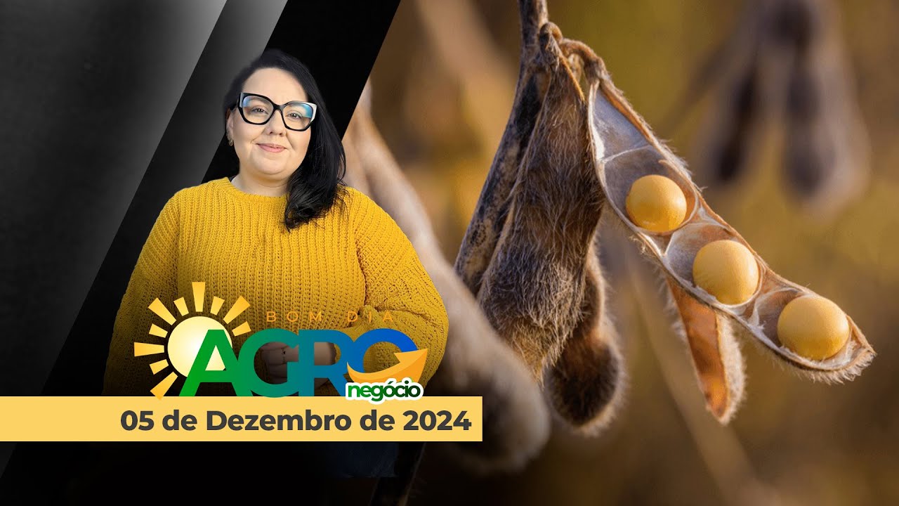 Bom dia Agro 05/12/24 - Mercado da soja
