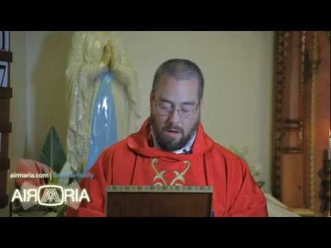 Fr. Agnellus M. Murphy: Sts. John Fisher and Thomas More - Examples of Achievement