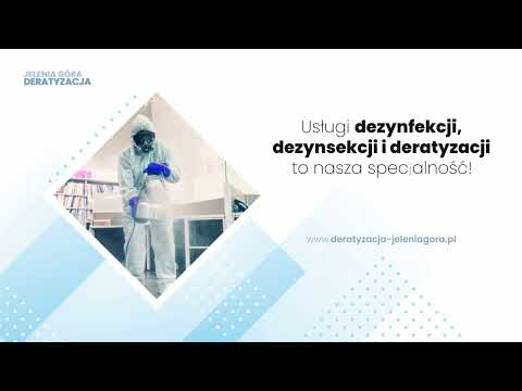 Zobacz filmy, Leader ZPHU Mirosław Jackowski, Jelenia Góra