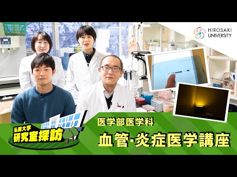 【弘前大学 研究室探訪！】～医学部医学科 血管・炎症医学講座（川口章吾助教）編～