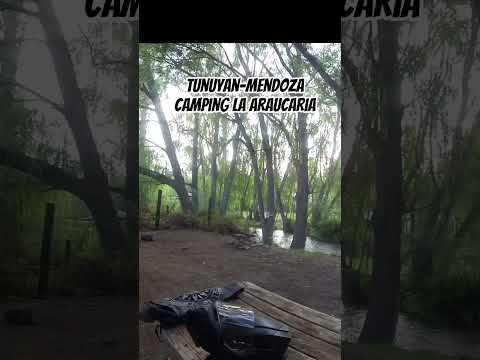 Camping La Araucaria em Tunuyan, Mendoza.