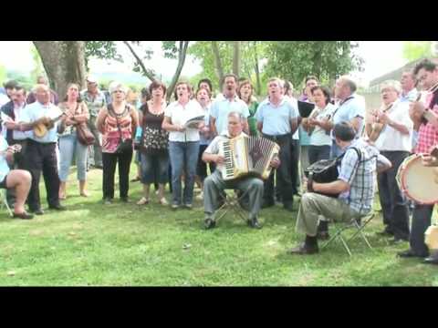 Roseira Enxertada - Cavaquinhos de Vila Meã