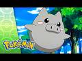 Pearls Are A Spoink S Best Friend POKÉMON FULL EPISODE 39 Season 7