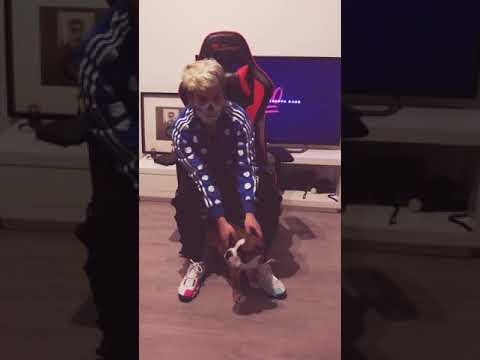 Se termina aici Royal Junkie Music ?