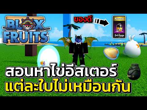 สอนหาไข่อีสเตอร์ สะสมได้เยอะเท่าไหร่ได้ของรางวัลเท่านั้น!! | Blox Fruits Roblox