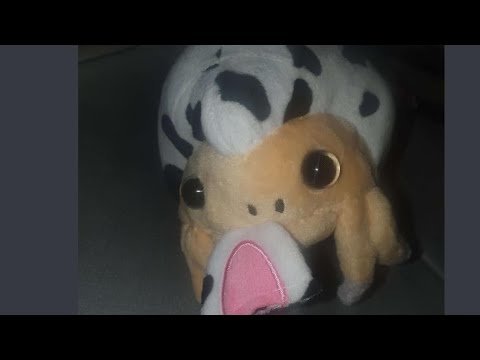 Deckgloom depths - quads and co. (Read desc) (ft: raw zebra slithersong and chao mage)