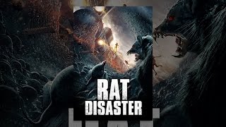 Rat Disaster