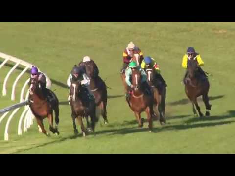Hooked Racing Trial for the Group 1 Doomben 10000 May 2016
