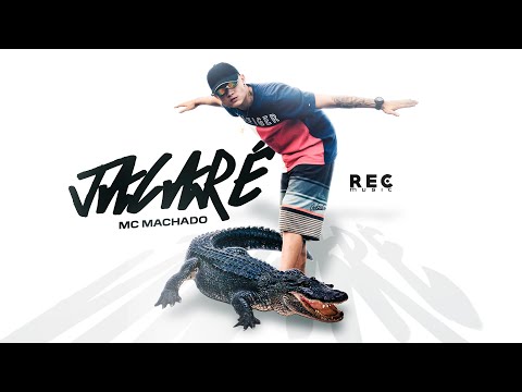MC Machado - Jacaré (Audio Oficial)