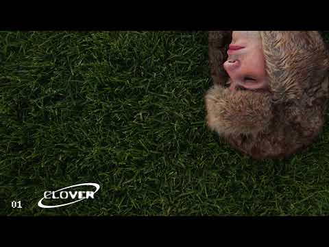 Autumn Boy - Clover (Official Audio)