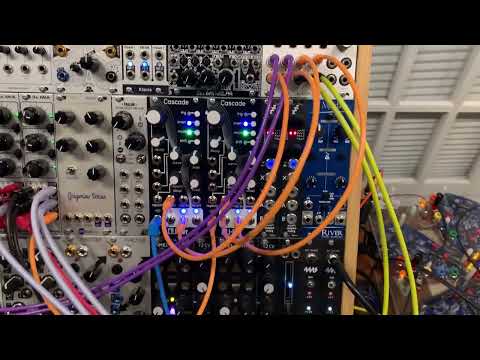 Quantussy controls Jolin Tabor