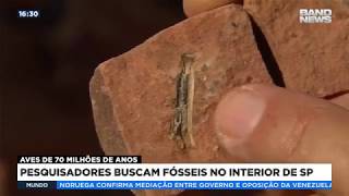 Miniatura do vídeo