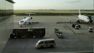 KREIDLER - Moth Race  (official video HD)