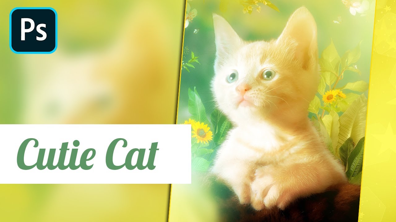 Cutie Cat | Making Poster Tutorial In Photoshop Speed Art