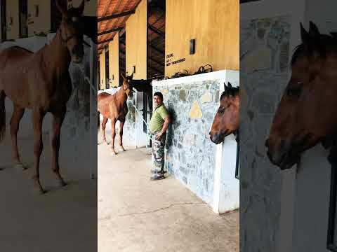 #close#to#nature#beautiful#resort#in#india