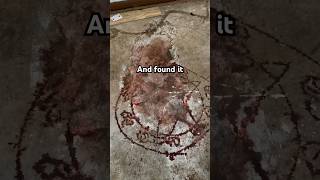 Download lagu I found a satanic ritual site in this abandoned building #urbex #abandoned #abandonedplaces #shorts mp3 Download lagu I found a satanic ritual site in this abandoned building #urbex #abandoned #abandonedplaces #shorts mp3