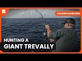 Searching For A Giant Trevally Chasing Monsters Fishing Show
