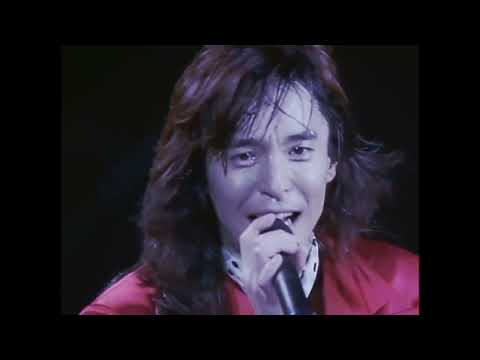 The Point Of Lover’s Night