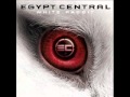 Egypt Central White Rabbit - Acoustic 