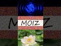 ️ MOIZ HINDU Boy Name MOIZ OM Status MOIZ Lotus Status Shorts