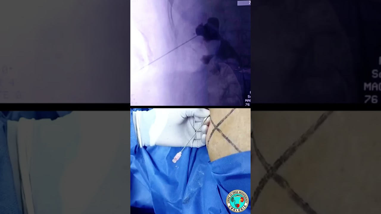 Roberto Antonio Gómez Guzman-8