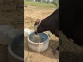 Aap Ka Aana