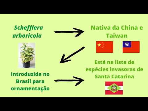 Invasões Biológicas - PPCC Ecologia de Populações Biologia UFSC