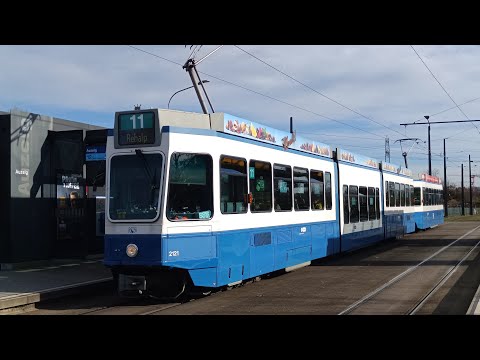 Strassenbahn Zürich Tram 2000 Sänfte + Pony auf der Linie 11 Richtung Auzelg 