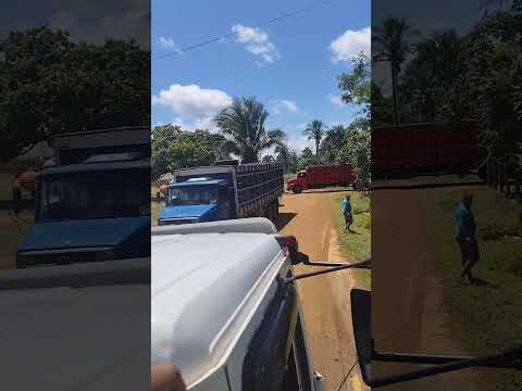 povoado jatobá em sucupira do Riachão Maranhão Brasil 🇧🇷