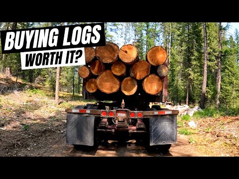 How Much Does It Cost To Buy A Load Of Logs For Our Sawmill? // How To Scale Logs // Buying Logs
