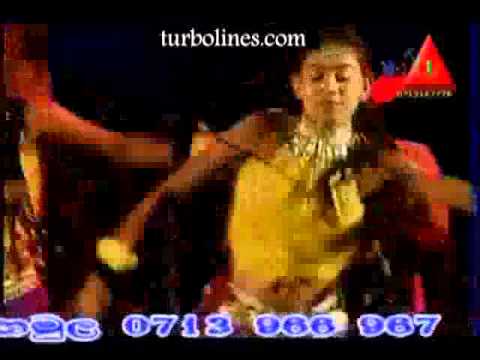 susil fernando with all right nelum male pethi kadala song