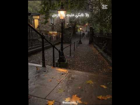 راحت فين ايامنا💔 #نصيبي #تصميمي #جديدي #موسيقى #لايك #ايقنت #ترند #تصميم_فيديوهات #تيك_توك