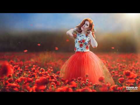 Solar Sound - I Love You