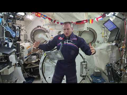 ISS059m261651534-Expedition 59 CSA Inflight with Canadian Media 2019 0614 1215178