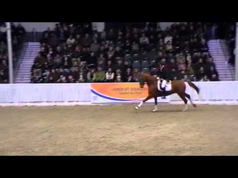 Duisenberg und De L`Or, Video vom 04.02.2012 bei der 22. Schau Hannoveraner Privathengste